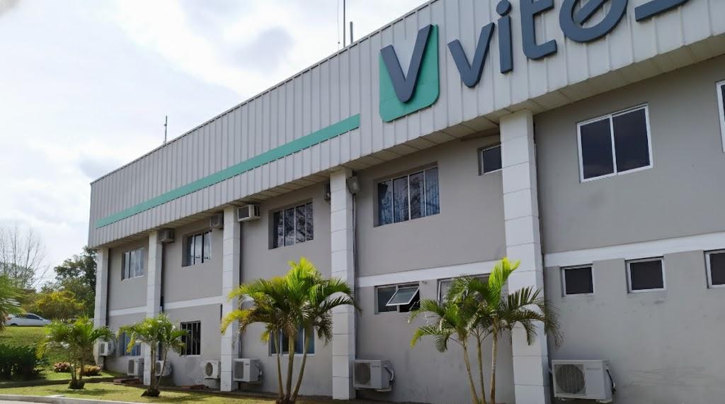 Vitesse – Fachada Frontal